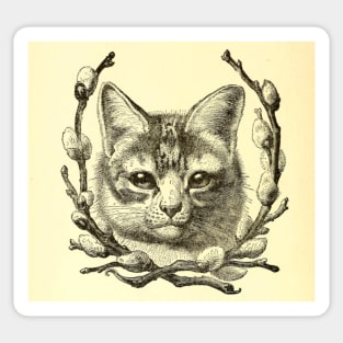 Antique Cat Sticker